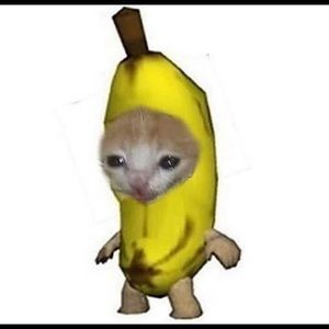 Meet your Posher, Ivana